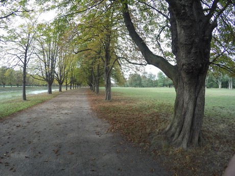 lindenthal