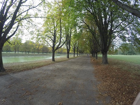 lindenthal