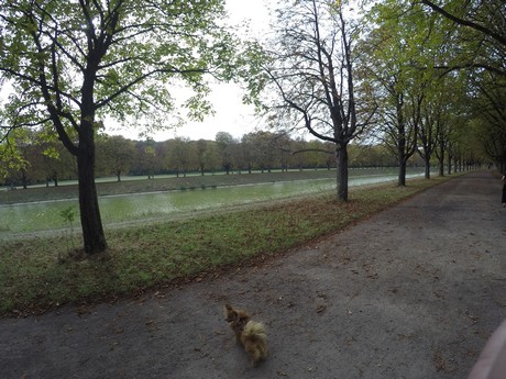 lindenthal