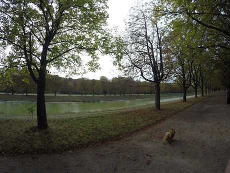 lindenthal