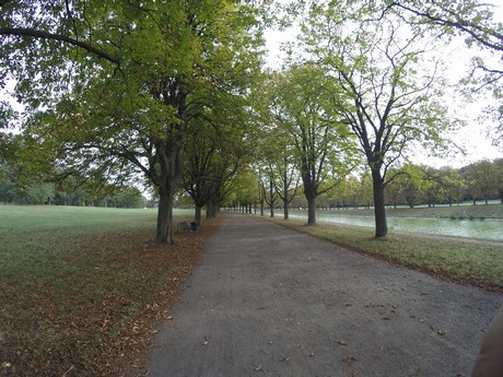 lindenthal
