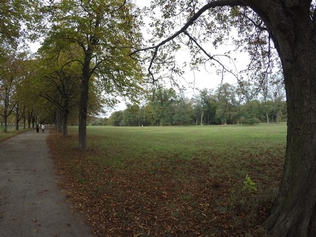 lindenthal