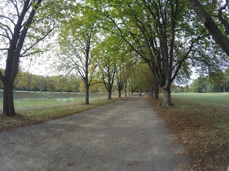 lindenthal