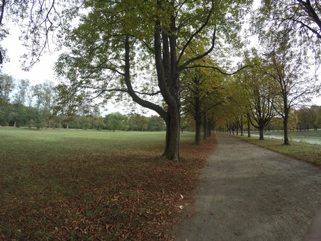 lindenthal