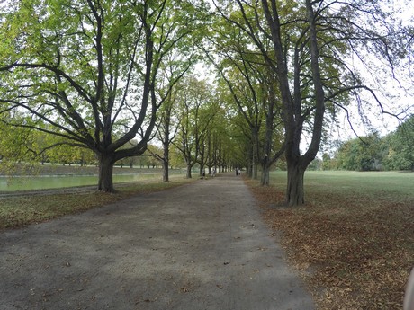 lindenthal