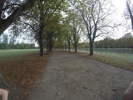 lindenthal
