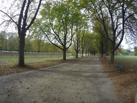 lindenthal