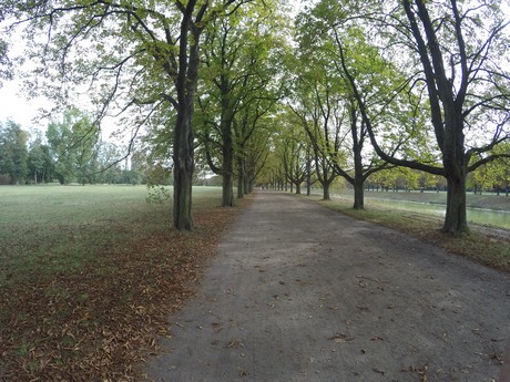 lindenthal