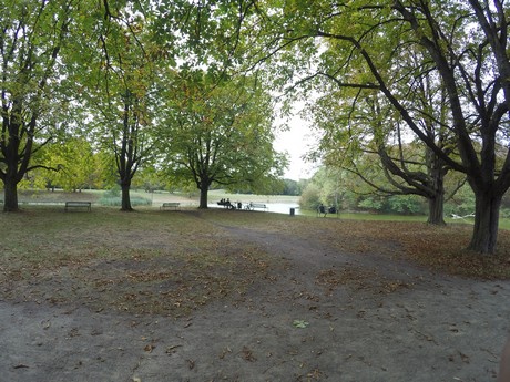 lindenthal