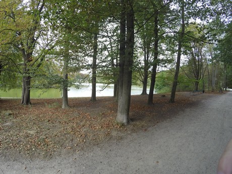 lindenthal
