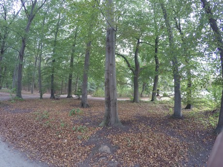 lindenthal