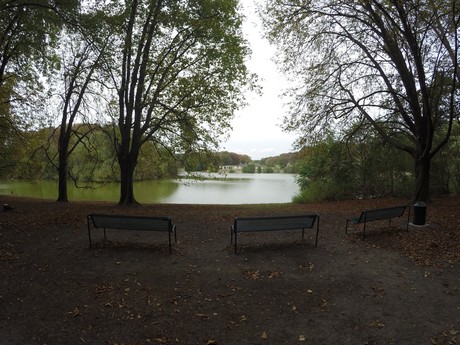 lindenthal