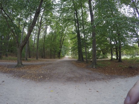 lindenthal