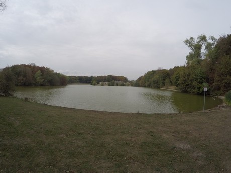 lindenthal