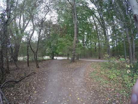 lindenthal