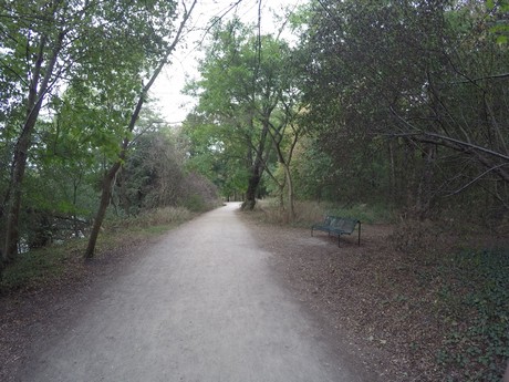 lindenthal
