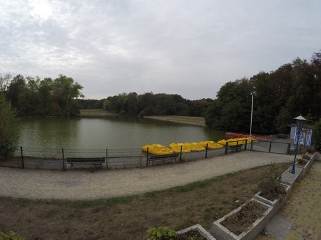 lindenthal