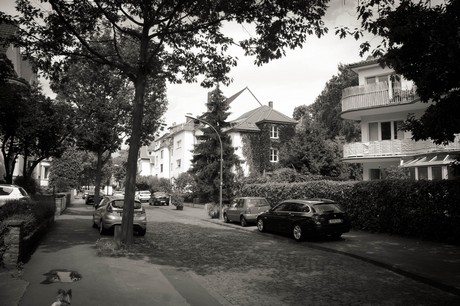 lindenthal