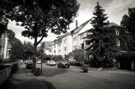 lindenthal