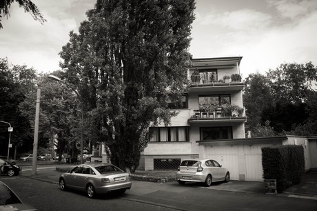lindenthal