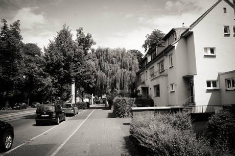 lindenthal