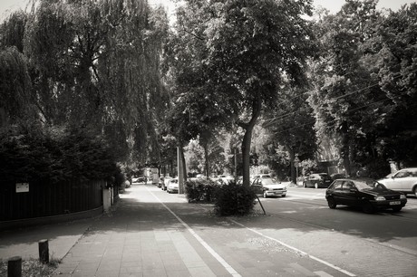 lindenthal