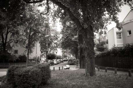 lindenthal