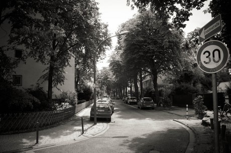 lindenthal