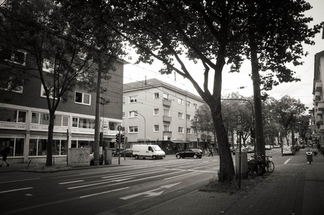 lindenthal