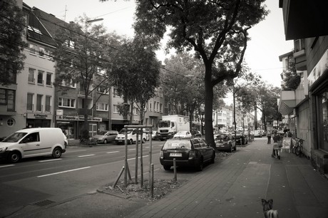 lindenthal