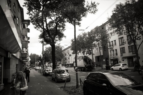 lindenthal