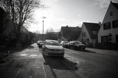 lindenthal