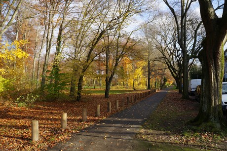 lindenthal