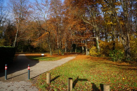 lindenthal