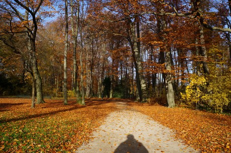 lindenthal