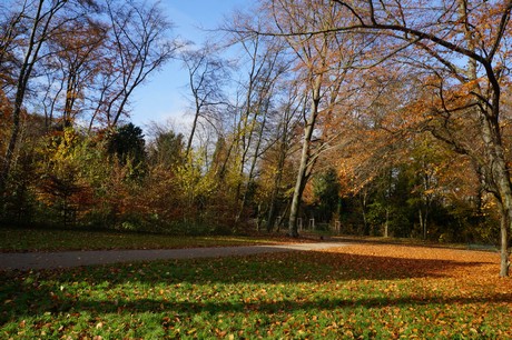 lindenthal