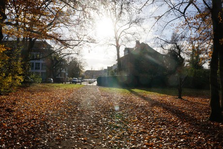 lindenthal