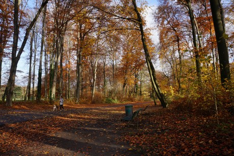 lindenthal