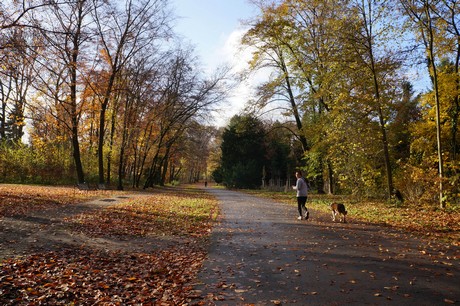 lindenthal