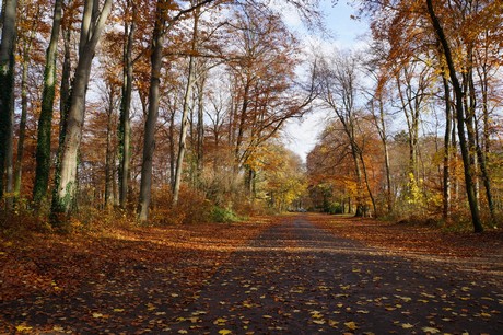 lindenthal