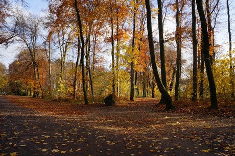 lindenthal