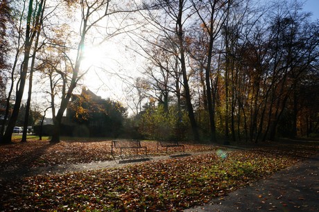 lindenthal