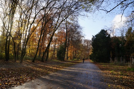 lindenthal