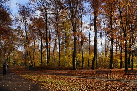 lindenthal