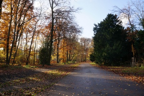 lindenthal