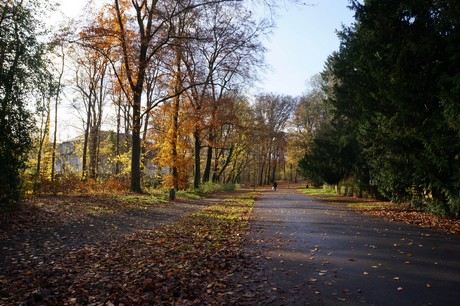lindenthal