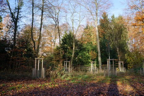lindenthal