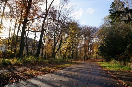 lindenthal