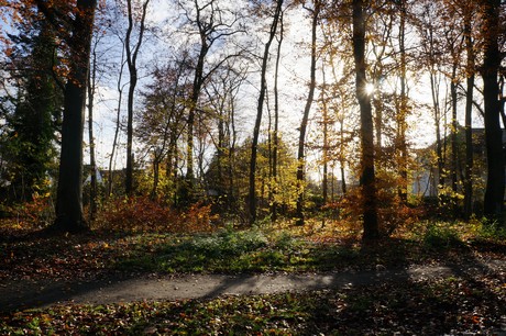lindenthal