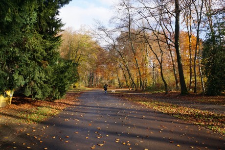 lindenthal